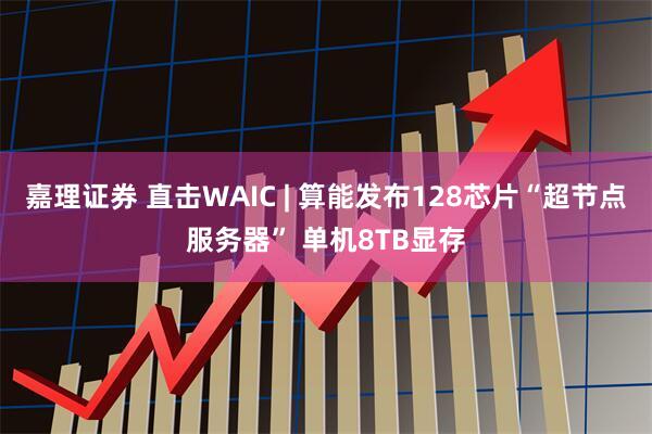 嘉理证券 直击WAIC | 算能发布128芯片“超节点服务器” 单机8TB显存