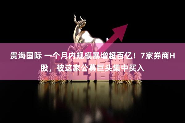 贵海国际 一个月内规模暴增超百亿！7家券商H股，被这家公募巨头集中买入
