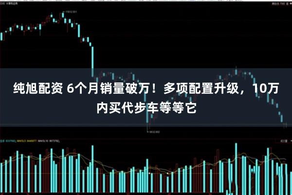 纯旭配资 6个月销量破万！多项配置升级，10万内买代步车等等它